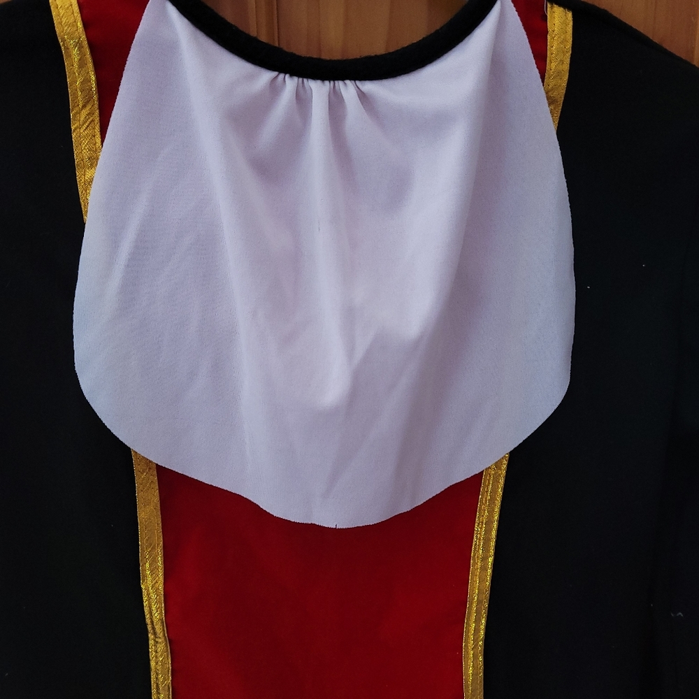 Rubies Costume Co Halloween Large English Unisex - Picture 3 of 8